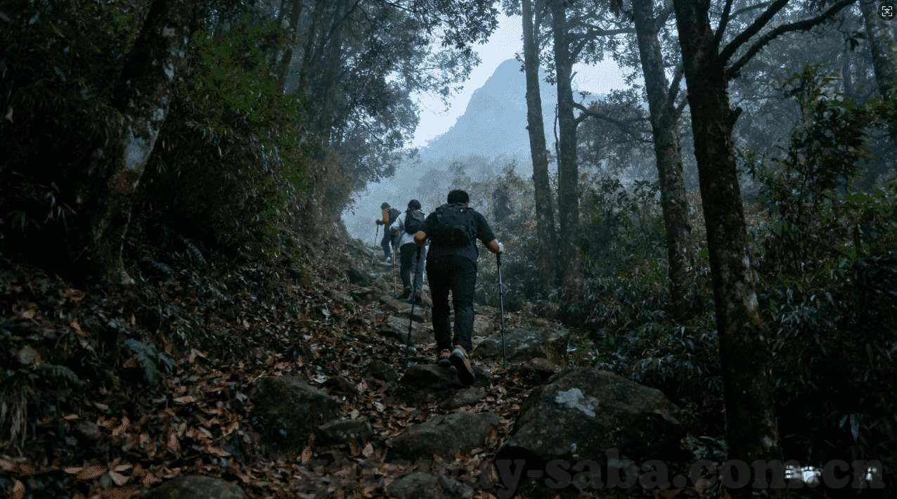 澳门葡京赌场门口-澳门葡京赌场门口的繁华与静谧