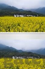 开云体育提款五万元-开云体育，安全高效的提款体验