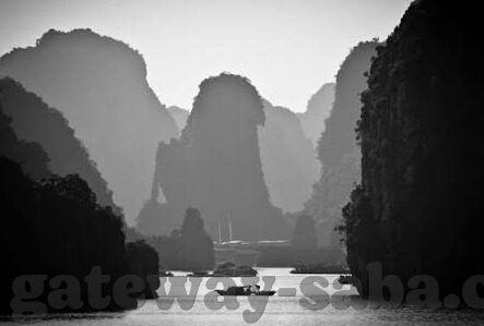闪耀暖暖游戏下载九游-闪耀在指尖的梦幻之旅 —— 九游版闪耀暖暖下载指南