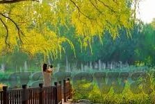 足球比分网站-揭秘足球比分网站，球迷的数字战场与数据宝藏